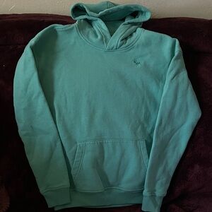 Abercrombie Kids Teal Hoodie